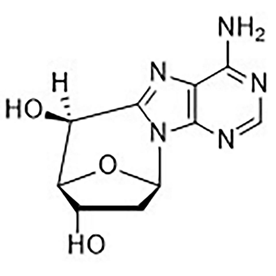 (5'S)-2'-Deoxy-8,5'-cycloadenosine, 10 mg, Glass Screw-Top